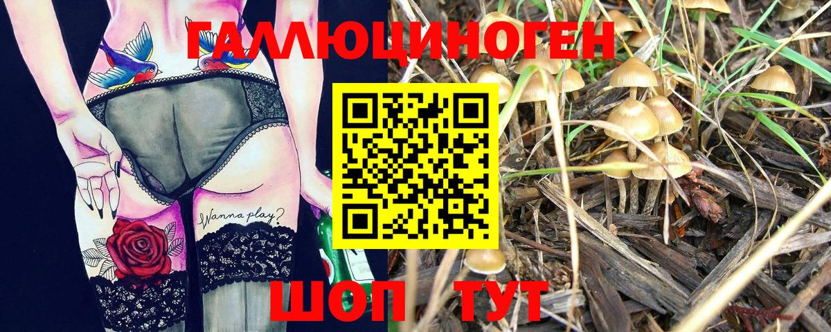 Бутурлиновка  Галлюциногенные грибы ЛСД  Вход с VPN 